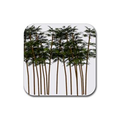 Bamboo Plant Wellness Digital Art Rubber Coaster (square)  by Amaryn4rt