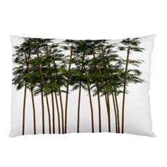 Bamboo Plant Wellness Digital Art Pillow Case by Amaryn4rt