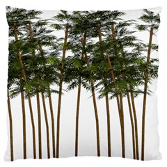 Bamboo Plant Wellness Digital Art Large Cushion Case (one Side) by Amaryn4rt