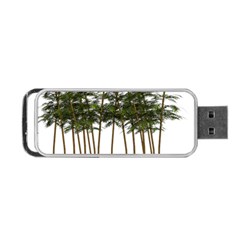 Bamboo Plant Wellness Digital Art Portable Usb Flash (two Sides) by Amaryn4rt