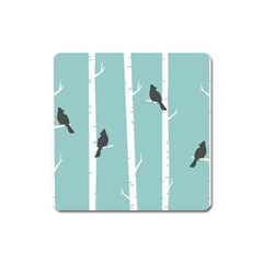 Birds Trees Birch Birch Trees Square Magnet by Amaryn4rt