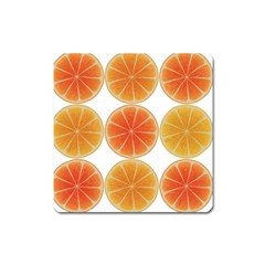 Orange Discs Orange Slices Fruit Square Magnet by Amaryn4rt