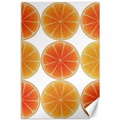 Orange Discs Orange Slices Fruit Canvas 24  X 36  by Amaryn4rt