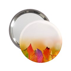 Autumn Leaves Colorful Fall Foliage 2 25  Handbag Mirrors by Amaryn4rt