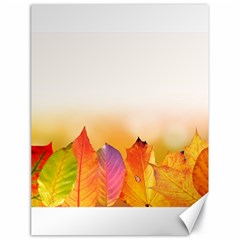 Autumn Leaves Colorful Fall Foliage Canvas 18  X 24   by Amaryn4rt