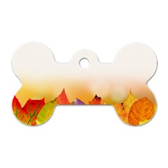 Autumn Leaves Colorful Fall Foliage Dog Tag Bone (two Sides) by Amaryn4rt