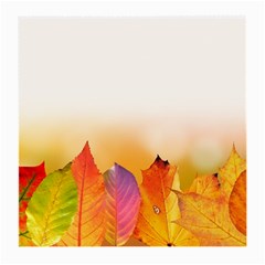 Autumn Leaves Colorful Fall Foliage Medium Glasses Cloth by Amaryn4rt