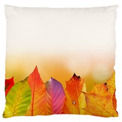 Autumn Leaves Colorful Fall Foliage Large Cushion Case (one Side) by Amaryn4rt