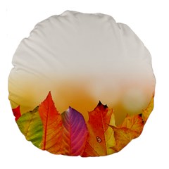 Autumn Leaves Colorful Fall Foliage Large 18  Premium Round Cushions