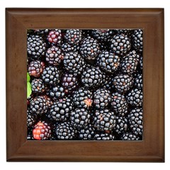 Blackberries Background Black Dark Framed Tiles by Amaryn4rt