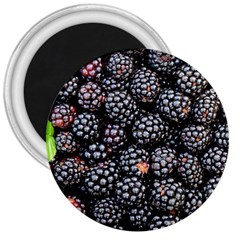 Blackberries Background Black Dark 3  Magnets by Amaryn4rt