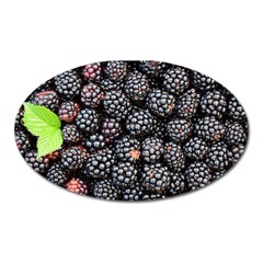 Blackberries Background Black Dark Oval Magnet by Amaryn4rt