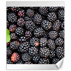 Blackberries Background Black Dark Canvas 20  X 24   by Amaryn4rt