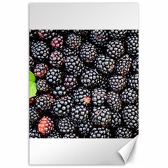 Blackberries Background Black Dark Canvas 20  X 30   by Amaryn4rt