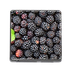 Blackberries Background Black Dark Memory Card Reader (square) by Amaryn4rt