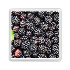 Blackberries Background Black Dark Memory Card Reader (square)  by Amaryn4rt