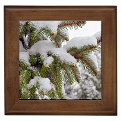 Brad Snow Winter White Green Framed Tiles