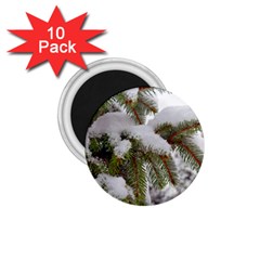 Brad Snow Winter White Green 1.75  Magnets (10 pack) 