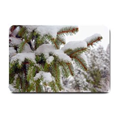 Brad Snow Winter White Green Small Doormat 