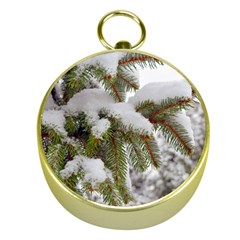 Brad Snow Winter White Green Gold Compasses