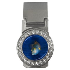 Fish Blue Animal Water Nature Money Clips (cz)  by Amaryn4rt