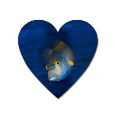 Fish Blue Animal Water Nature Heart Magnet by Amaryn4rt