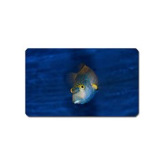 Fish Blue Animal Water Nature Magnet (name Card) by Amaryn4rt