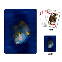 Fish Blue Animal Water Nature Playing Card by Amaryn4rt