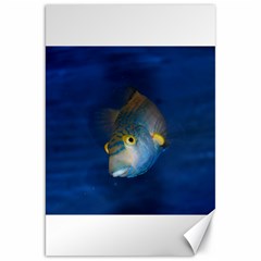 Fish Blue Animal Water Nature Canvas 20  X 30   by Amaryn4rt