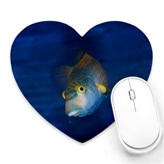 Fish Blue Animal Water Nature Heart Mousepads by Amaryn4rt