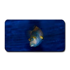 Fish Blue Animal Water Nature Medium Bar Mats by Amaryn4rt