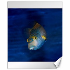 Fish Blue Animal Water Nature Canvas 11  X 14   by Amaryn4rt