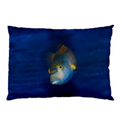 Fish Blue Animal Water Nature Pillow Case by Amaryn4rt