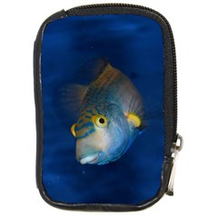 Fish Blue Animal Water Nature Compact Camera Cases by Amaryn4rt