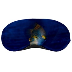 Fish Blue Animal Water Nature Sleeping Masks by Amaryn4rt