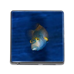 Fish Blue Animal Water Nature Memory Card Reader (square) by Amaryn4rt