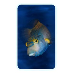 Fish Blue Animal Water Nature Memory Card Reader by Amaryn4rt