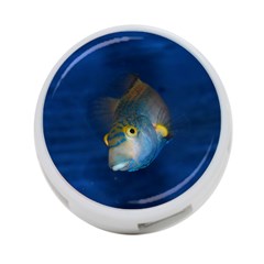 Fish Blue Animal Water Nature 4-port Usb Hub (two Sides)  by Amaryn4rt