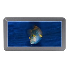 Fish Blue Animal Water Nature Memory Card Reader (mini) by Amaryn4rt