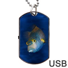 Fish Blue Animal Water Nature Dog Tag Usb Flash (two Sides)  by Amaryn4rt