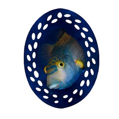 Fish Blue Animal Water Nature Oval Filigree Ornament (2-side)  by Amaryn4rt