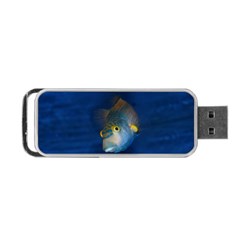 Fish Blue Animal Water Nature Portable Usb Flash (two Sides) by Amaryn4rt