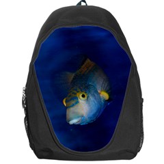 Fish Blue Animal Water Nature Backpack Bag by Amaryn4rt