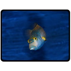 Fish Blue Animal Water Nature Double Sided Fleece Blanket (large)  by Amaryn4rt