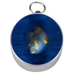 Fish Blue Animal Water Nature Silver Compasses by Amaryn4rt