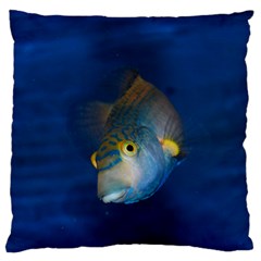 Fish Blue Animal Water Nature Standard Flano Cushion Case (two Sides) by Amaryn4rt