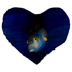 Fish Blue Animal Water Nature Large 19  Premium Flano Heart Shape Cushions by Amaryn4rt