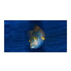 Fish Blue Animal Water Nature Satin Wrap by Amaryn4rt