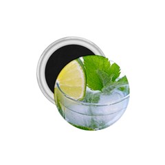 Cold Drink Lime Drink Cocktail 1 75  Magnets by Amaryn4rt