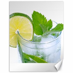 Cold Drink Lime Drink Cocktail Canvas 18  X 24   by Amaryn4rt